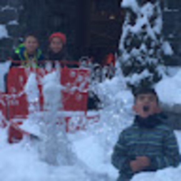 Meet your Posher, Nika - Picture 1 of 1